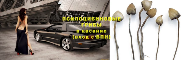 трава Пересвет