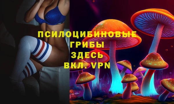 стафф Покровск