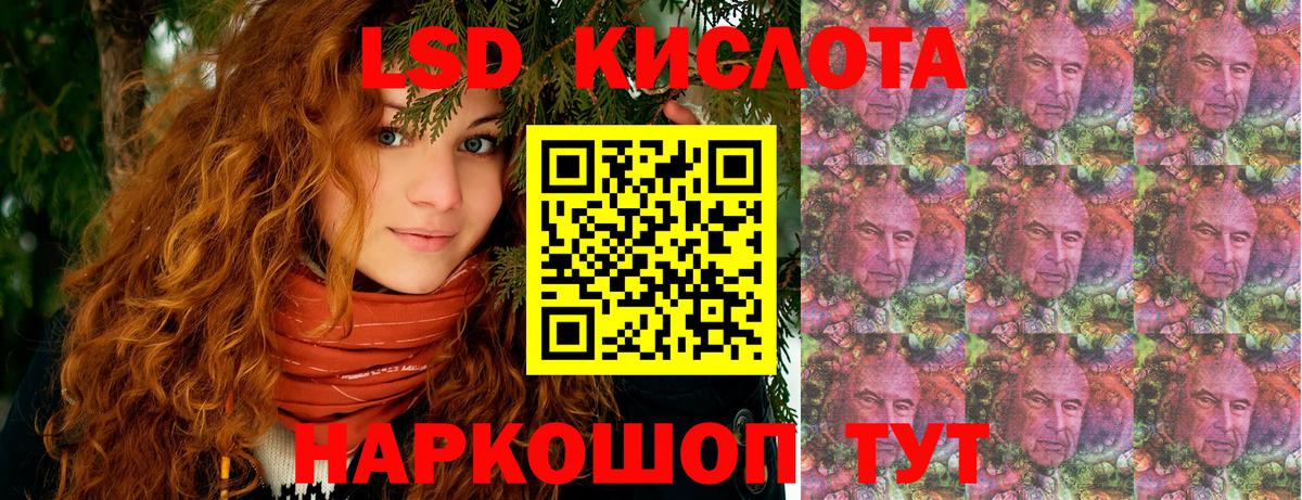Удомля  Марки N-bome 1,5мг  где найти   Вход с VPN 