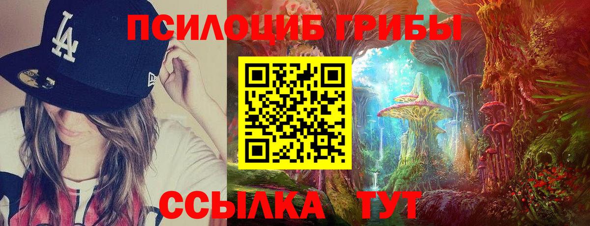 Псилоцибиновые грибы MAGIC MUSHROOMS  Галлюциногенные грибы GOLDEN TEACHER  Удомля  Вход с VPN 